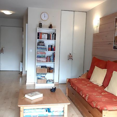 Le 102, T3 Pour 5 Personnes, Vue Montagne, Classe 2 Etoiles Nf, Parking, Piscine En Ete Bagnères-de-Luchon Exterior foto