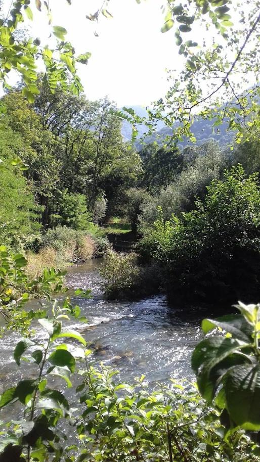 Le 102, T3 Pour 5 Personnes, Vue Montagne, Classe 2 Etoiles Nf, Parking, Piscine En Ete Bagnères-de-Luchon Exterior foto